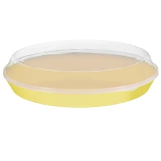 B&M Food Tray With Clear Lid - Yellow